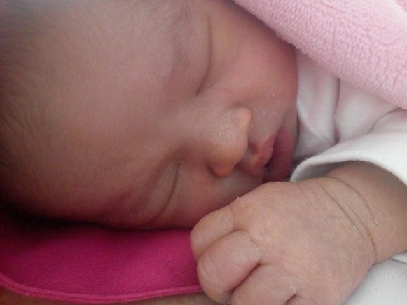 Hannah 27-01-2019 (15)