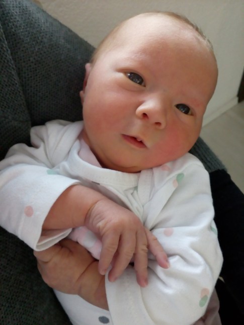 Jace 08-03-2019 (50)