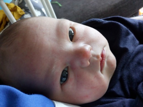 Enzo 08-08-2019 (49)