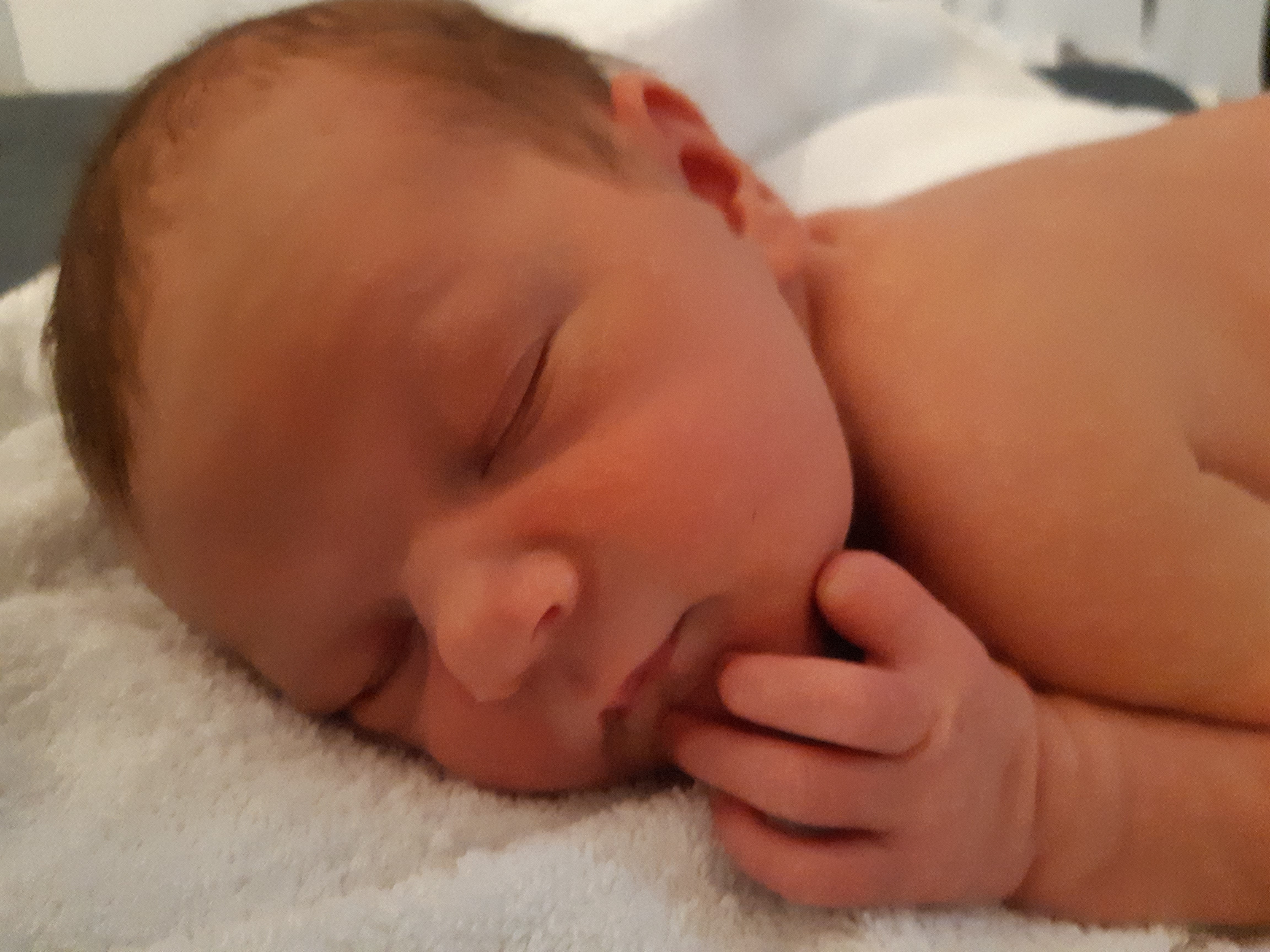 Laurie 09-01-2020 (67)