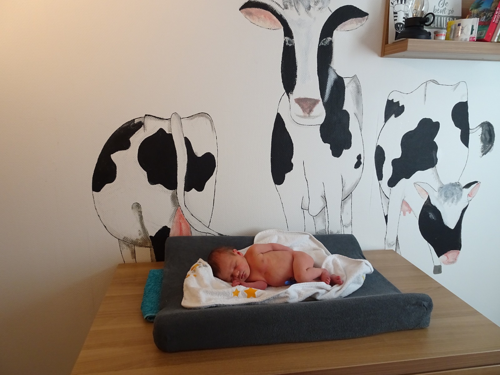 Laurie (27)09-01-2020