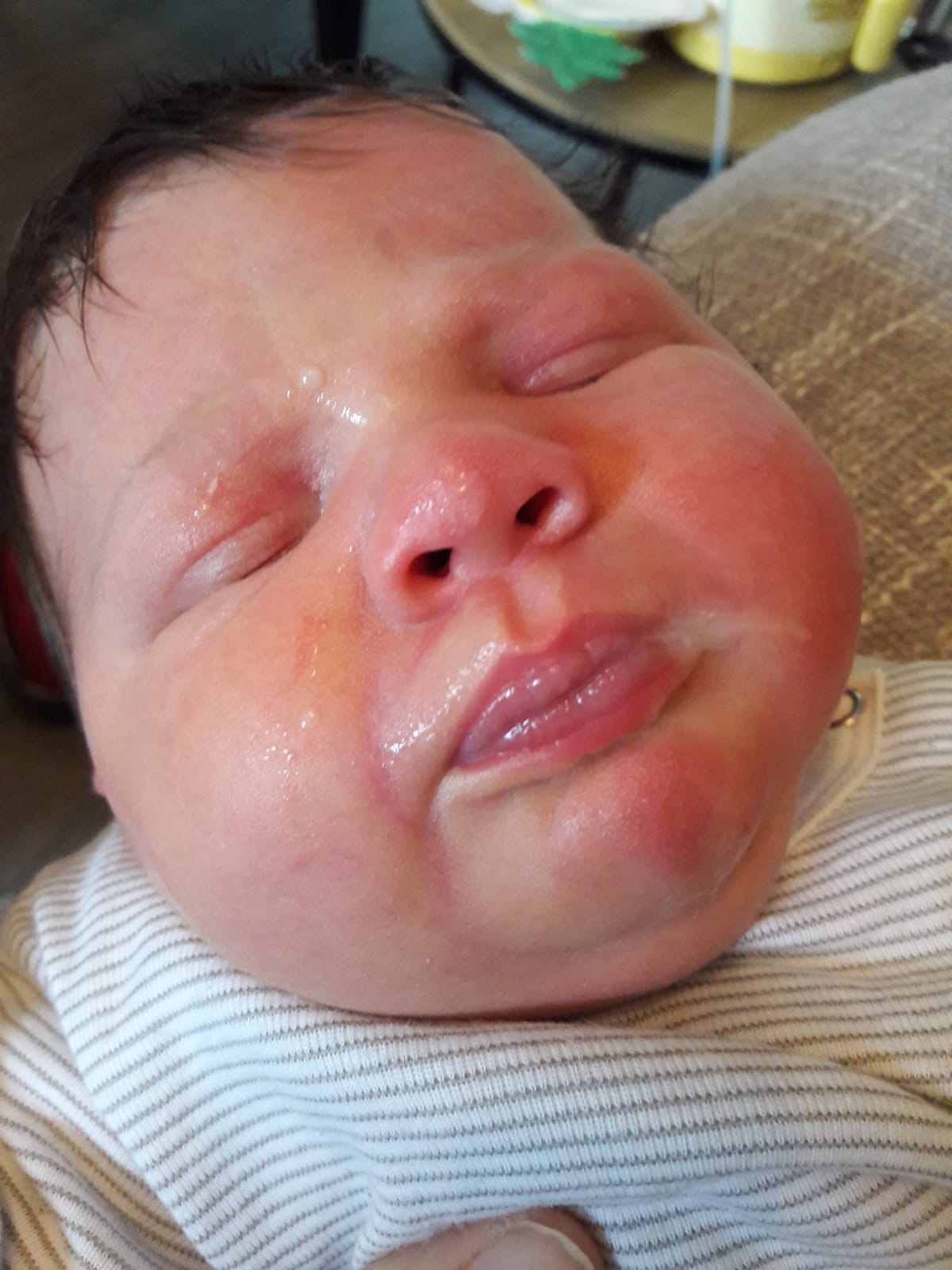 Rosie 21-02-2020 (1)