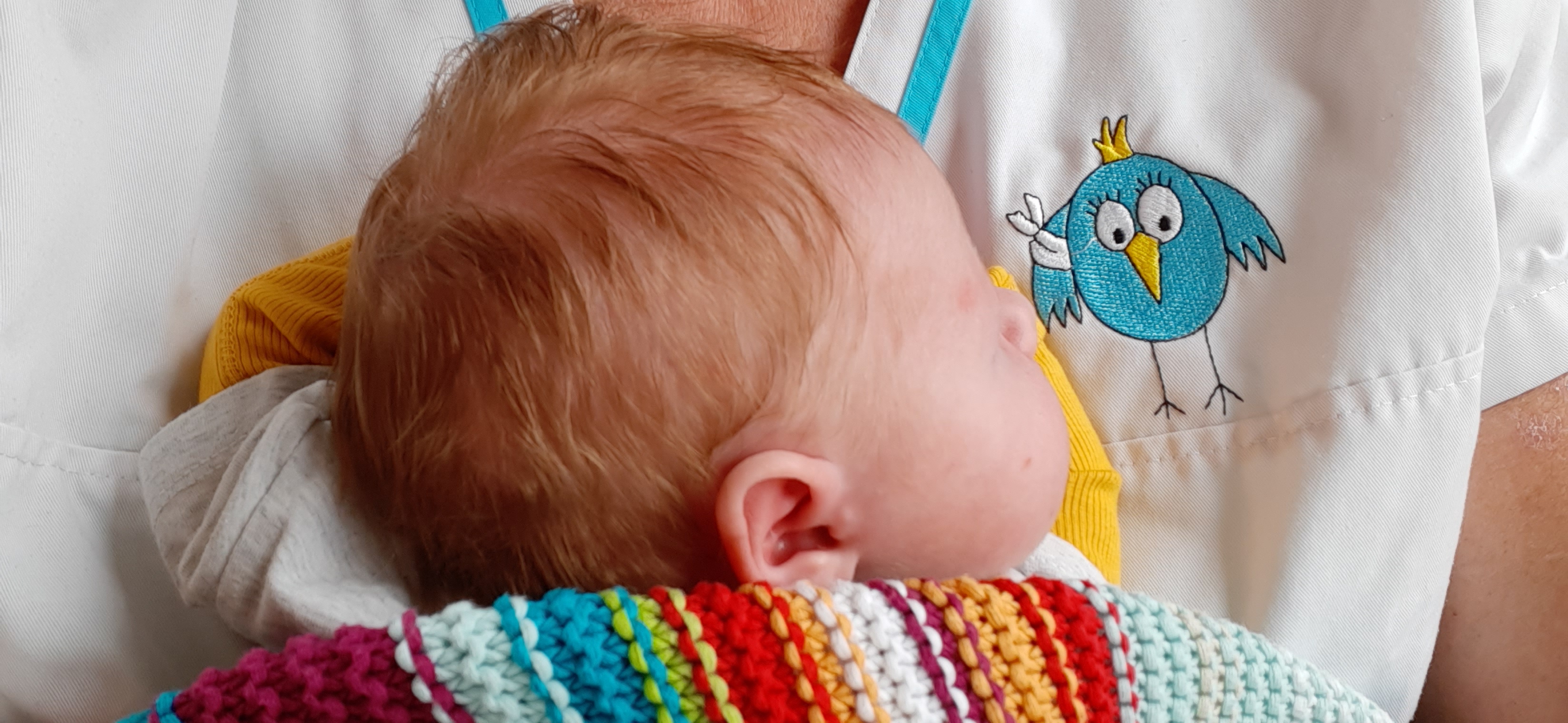 Cato 02-06-2020 (42)